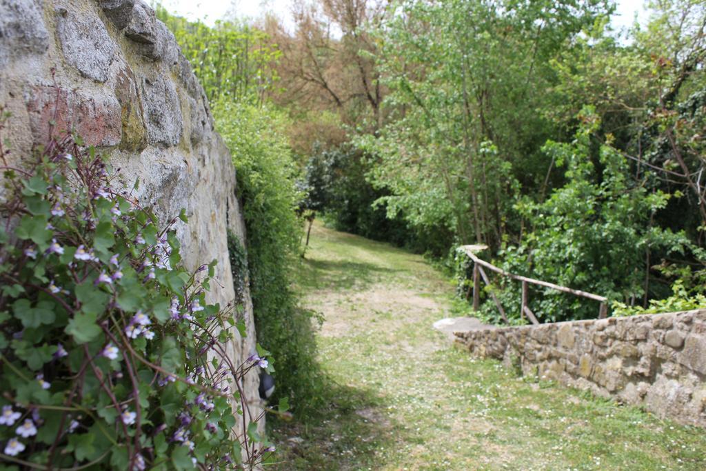Badia Il Vingone Konuk evi Città di Castello Dış mekan fotoğraf